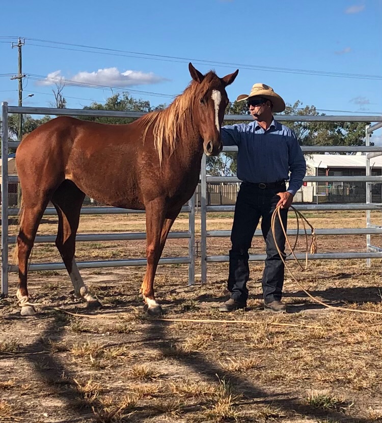 Faith Based Horsemanship & Camp Out – Registration and Information